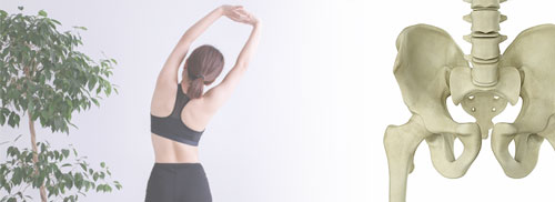 骨格マニュアル