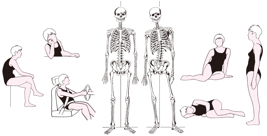 あなたの姿勢はだいじょうぶ？