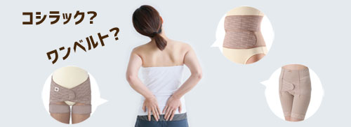 骨格シリーズ一覧